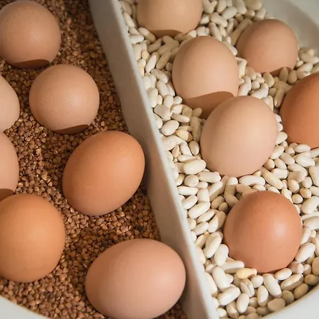 Rosslyn Dimyat Hotel 4*